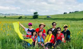 陪你一起看草原原唱