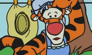 维尼熊和跳跳虎 维尼熊和跳跳虎