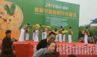 舞蹈谁不说俺家乡好 舞蹈谁不说俺家乡好