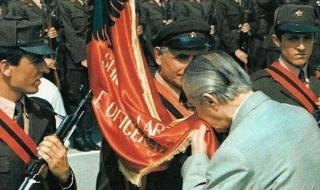 阿尔巴尼亚针的织法 阿尔巴尼亚针的织法