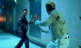 甄子丹电影 甄子丹电影