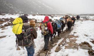 夏尔巴是什么意思